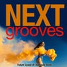 Next Groove (Future Sound of Chillhouse Beats)