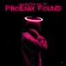 Phoenix Found Collection, Vol.10