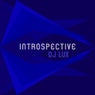 Introspective