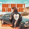 What You Won't Do For Love