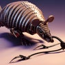 Armadillo