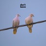 Don't Leave