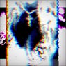 Rxvxrs