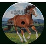 Hear Me Neigh