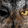 English Ep