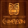 Tribal Spirits, Vol. 1
