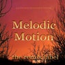 Melodic Motion (Fine Aerobic House Mix)