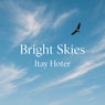 Bright Skies