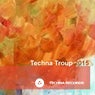 Techna Troup 2015