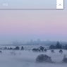 Spring Fog