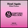 Wilted Flowers