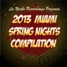2013 Miami Spring Nights Compilation