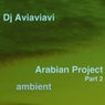 Arabian project part 2