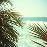 Island Vibe Loop Riddim