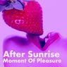 Moment Of Pleasure