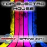 Top Electro House Spring 2014