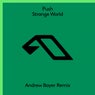 Strange World (Andrew Bayer Remix)