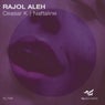 Rajol Aleh