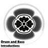 Drum and Bass Introductions