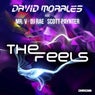The Feels (feat. Mr. V, DJ Rae, Scott Paynter)