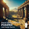Pompeii (Alex Raider Remix)