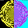 Hallucinate