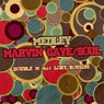 Marvin Gaye / Soul (feat. Lory Rossini)