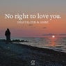 No Right To Love You