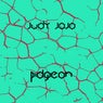 Pidgeon