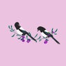 As a Bird