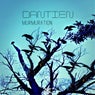 Murmuration