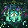 Echoes of the Cosmos