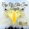 Cry of the Sea Eagle