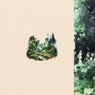 evergreen