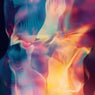 Hologram