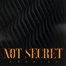 Not Secret (Extended Remix)