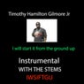 I Will Start It from the Ground up (Instrumental) with Stems