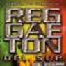 Reggaeton Del Sur - 100% Baileton