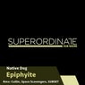 Epiphyite