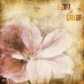 Flower of Chillout