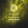 Intricate Records Is Waiting for Amsterdam 2021