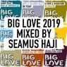 Big Love 2019 Mixed By Seamus Haji