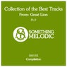 Collection of the Best Tracks From: Great Lion, Pt. 2