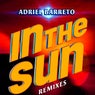 In The Sun Remixes