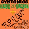 Back 2D Jungle / Flip It Out Remixes