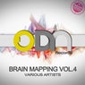 Brain Mapping Vol.4