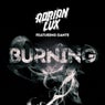 Burning feat. Dante (Ivan Gough & Feenixpawl Remix)