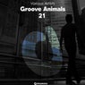 Groove Animals 21