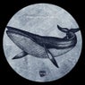 Phalaina