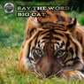 Say the word / Big Cat (FE001)